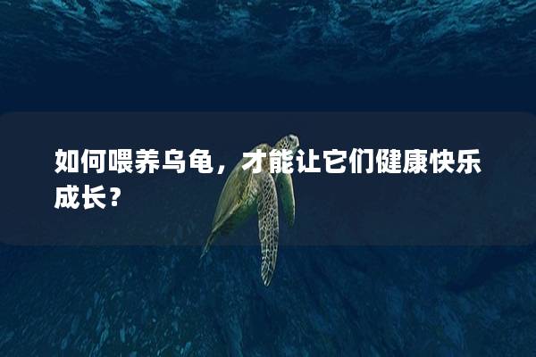 如何喂养乌龟，才能让它们健康快乐成长？