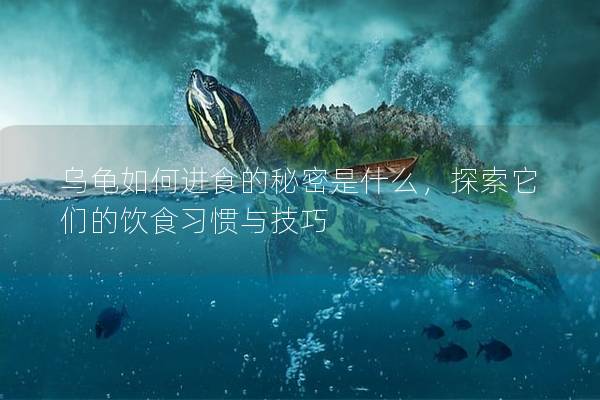 乌龟如何进食的秘密是什么，探索它们的饮食习惯与技巧
