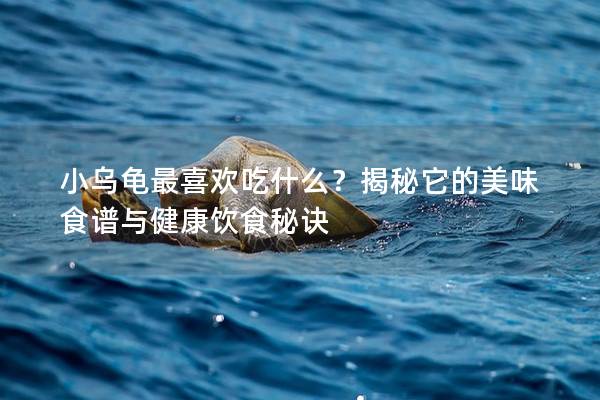 小乌龟最喜欢吃什么？揭秘它的美味食谱与健康饮食秘诀