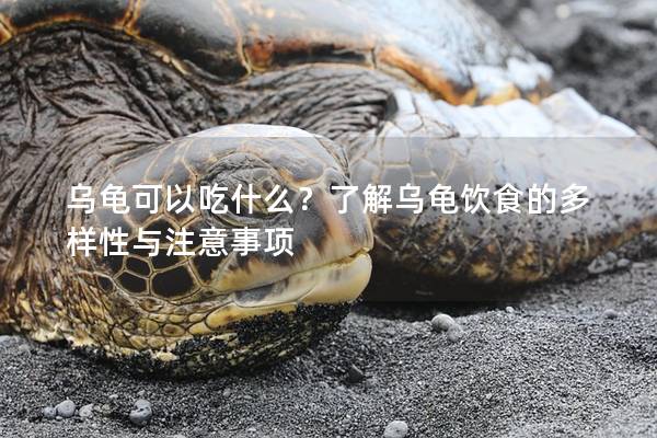 乌龟可以吃什么？了解乌龟饮食的多样性与注意事项