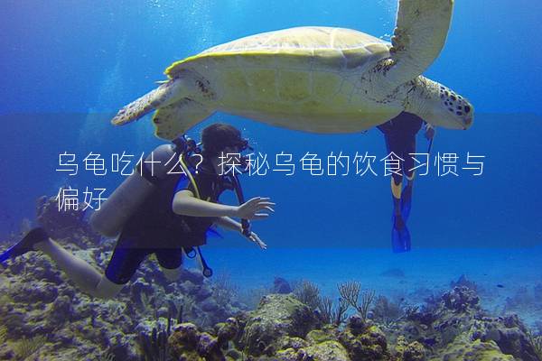 乌龟吃什么？探秘乌龟的饮食习惯与偏好