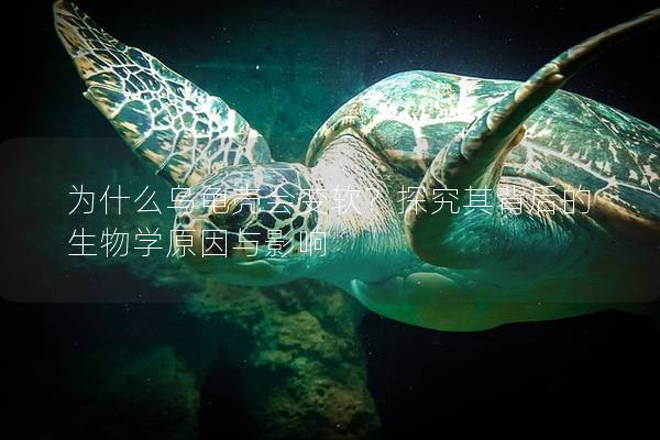 为什么乌龟壳会变软？探究其背后的生物学原因与影响