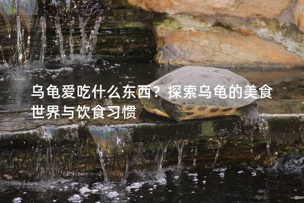 乌龟爱吃什么东西？探索乌龟的美食世界与饮食习惯