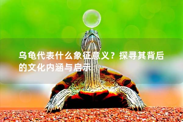 乌龟代表什么象征意义？探寻其背后的文化内涵与启示
