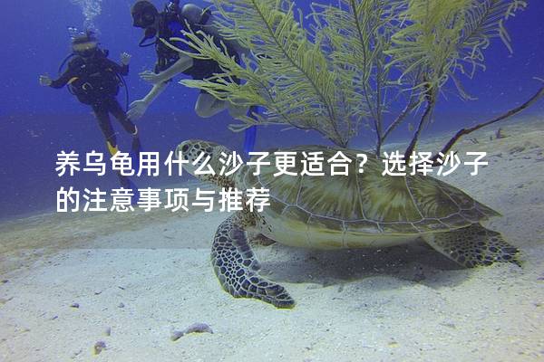 养乌龟用什么沙子更适合？选择沙子的注意事项与推荐