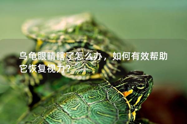 乌龟眼睛瞎了怎么办，如何有效帮助它恢复视力？