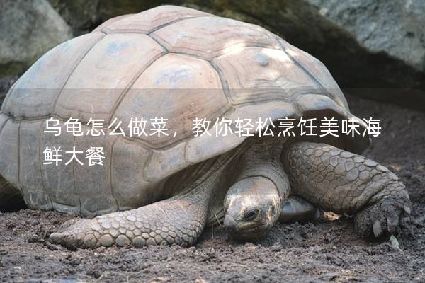 乌龟怎么做菜，教你轻松烹饪美味海鲜大餐