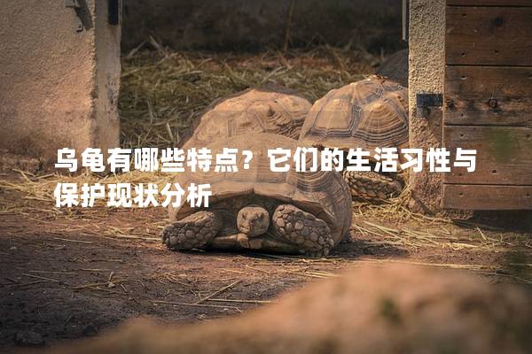 乌龟有哪些特点？它们的生活习性与保护现状分析