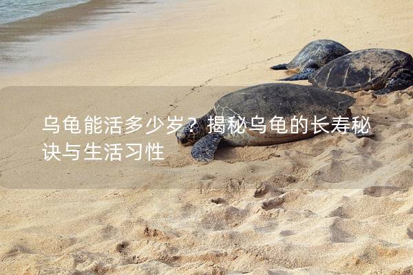 乌龟能活多少岁？揭秘乌龟的长寿秘诀与生活习性