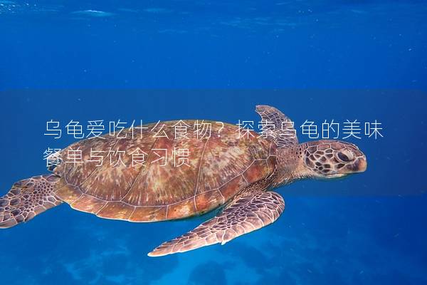 乌龟爱吃什么食物？探索乌龟的美味餐单与饮食习惯