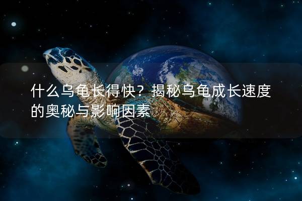什么乌龟长得快？揭秘乌龟成长速度的奥秘与影响因素