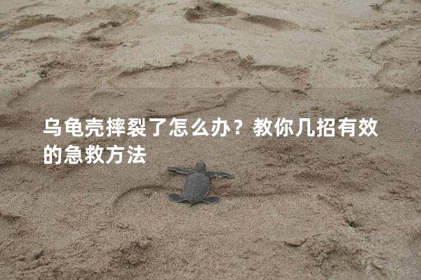 乌龟壳摔裂了怎么办？教你几招有效的急救方法