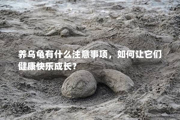 养乌龟有什么注意事项，如何让它们健康快乐成长？