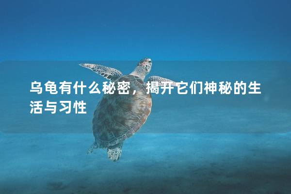 乌龟有什么秘密，揭开它们神秘的生活与习性
