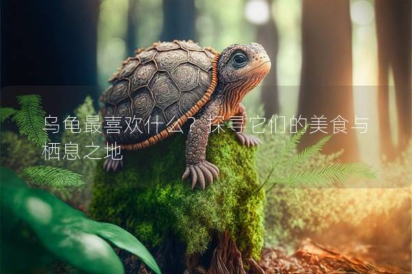 乌龟最喜欢什么？探寻它们的美食与栖息之地