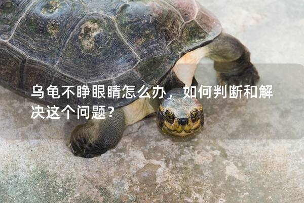 乌龟不睁眼睛怎么办，如何判断和解决这个问题？
