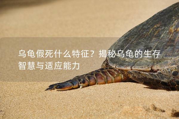 乌龟假死什么特征？揭秘乌龟的生存智慧与适应能力