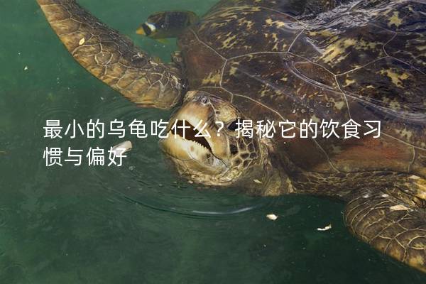最小的乌龟吃什么？揭秘它的饮食习惯与偏好