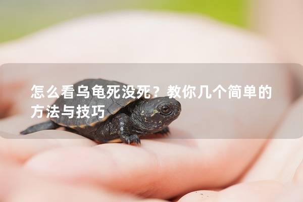 怎么看乌龟死没死？教你几个简单的方法与技巧