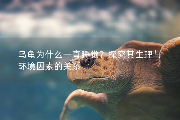 乌龟为什么一直睡觉？探究其生理与环境因素的关系
