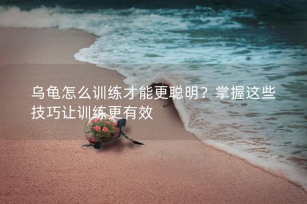 乌龟怎么训练才能更聪明？掌握这些技巧让训练更有效