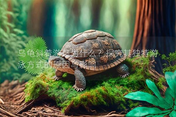 乌龟斜着游是为什么？探究其独特游泳方式的原因与影响