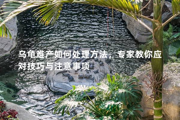 乌龟难产如何处理方法，专家教你应对技巧与注意事项
