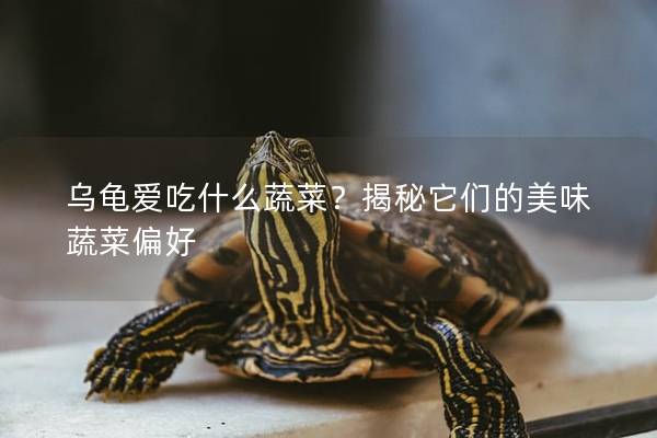 乌龟爱吃什么蔬菜？揭秘它们的美味蔬菜偏好