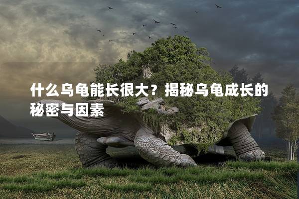 什么乌龟能长很大？揭秘乌龟成长的秘密与因素