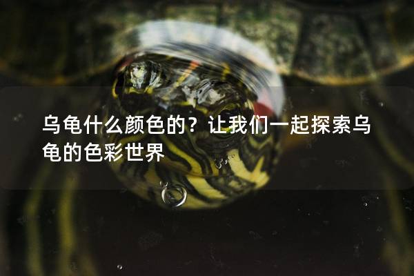 乌龟什么颜色的？让我们一起探索乌龟的色彩世界