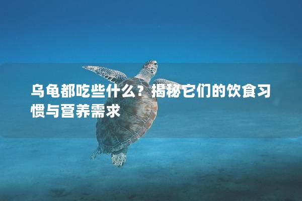 乌龟都吃些什么？揭秘它们的饮食习惯与营养需求