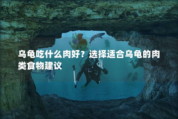 乌龟吃什么肉好？选择适合乌龟的肉类食物建议