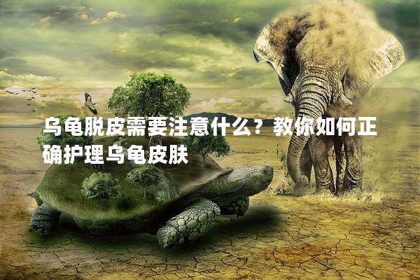 乌龟脱皮需要注意什么？教你如何正确护理乌龟皮肤