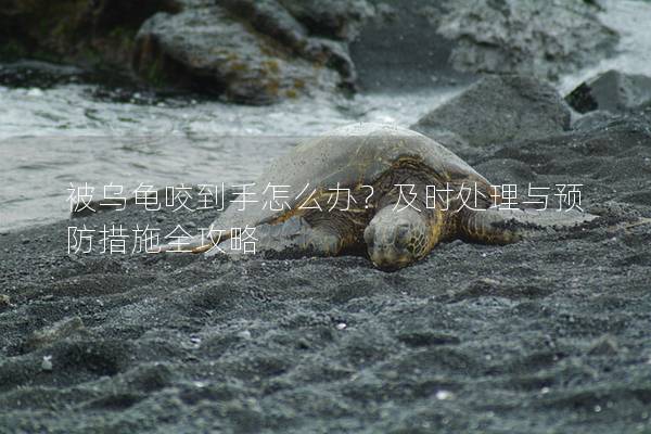 被乌龟咬到手怎么办？及时处理与预防措施全攻略
