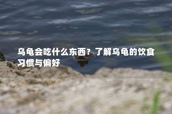 乌龟会吃什么东西？了解乌龟的饮食习惯与偏好