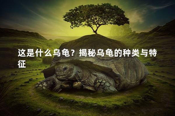 这是什么乌龟？揭秘乌龟的种类与特征